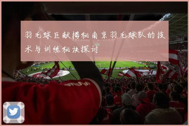 羽毛球巨献揭秘南京羽毛球队的技术与训练秘诀探讨